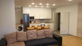 Saimaa Apartment